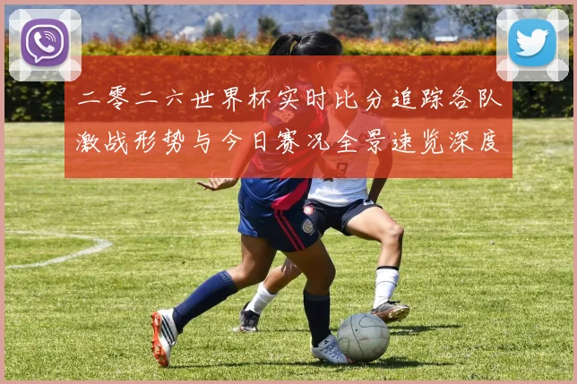 二零二六世界杯实时比分追踪各队激战形势与今日赛况全景速览深度