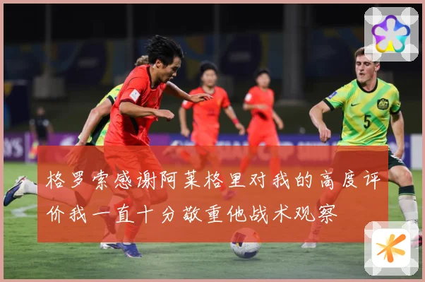 格罗索感谢阿莱格里对我的高度评价我一直十分敬重他战术观察
