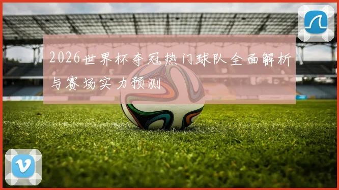 2026世界杯夺冠热门球队全面解析与赛场实力预测