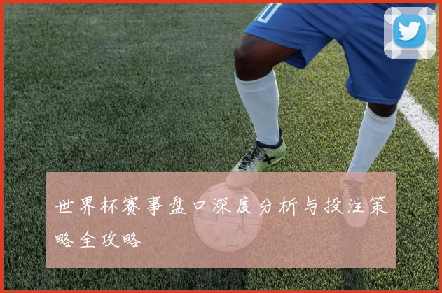 世界杯赛事盘口深度分析与投注策略全攻略