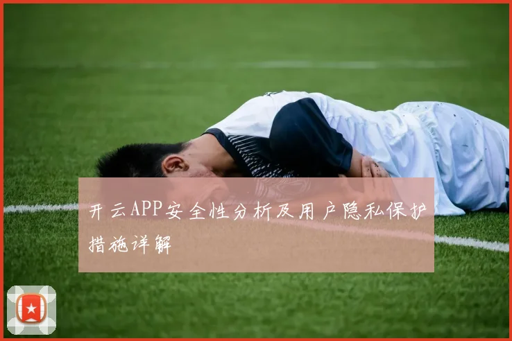 开云APP安全性分析及用户隐私保护措施详解