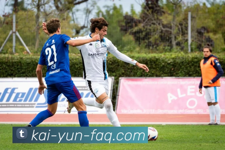 开云平台展示图