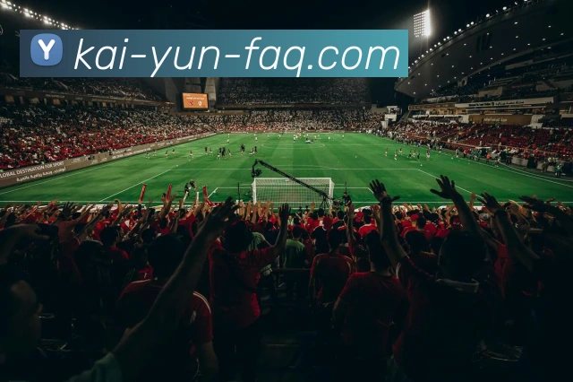 开云官网全站App